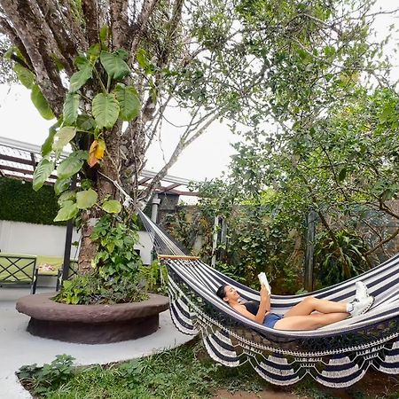 Montefresco Boutique Hostel Monteverde 外观 照片